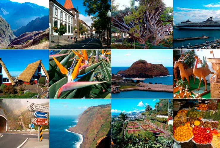 Madeira: Momentos inesquecíveis.